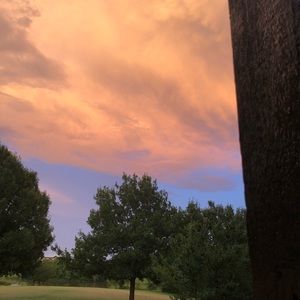 Meet your Posher, Addison